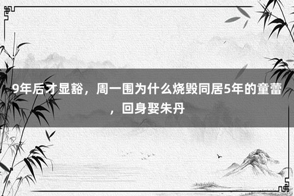 9年后才显豁，周一围为什么烧毁同居5年的童蕾，回身娶朱丹