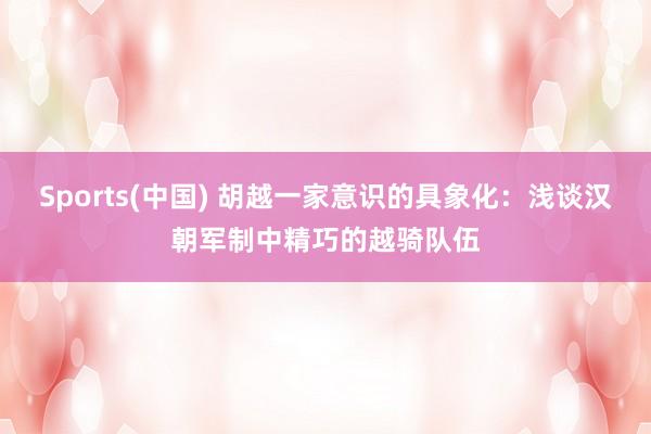 Sports(中国) 胡越一家意识的具象化：浅谈汉朝军制中精巧的越骑队伍